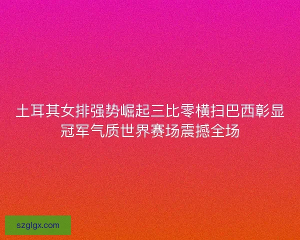 土耳其女排强势崛起三比零横扫巴西彰显冠军气质世界赛场震撼全场