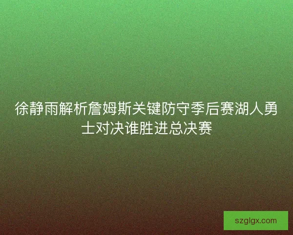 徐静雨解析詹姆斯关键防守季后赛湖人勇士对决谁胜进总决赛